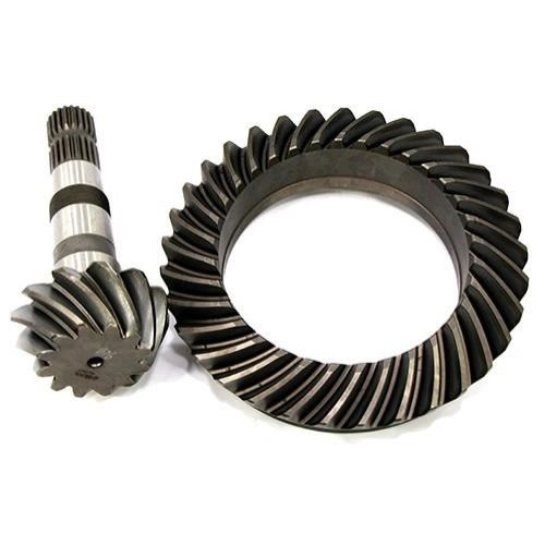 COROA  PINHAO